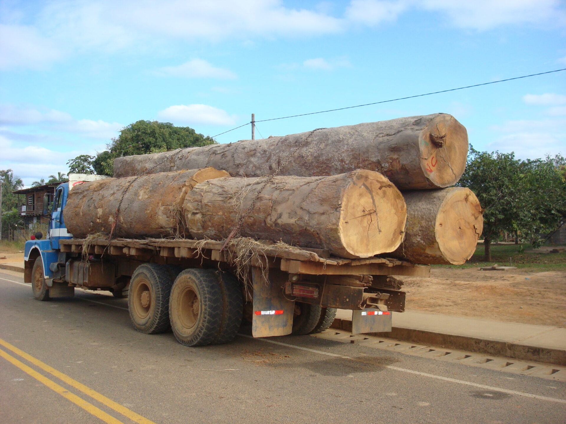 5 La deforestación interminable