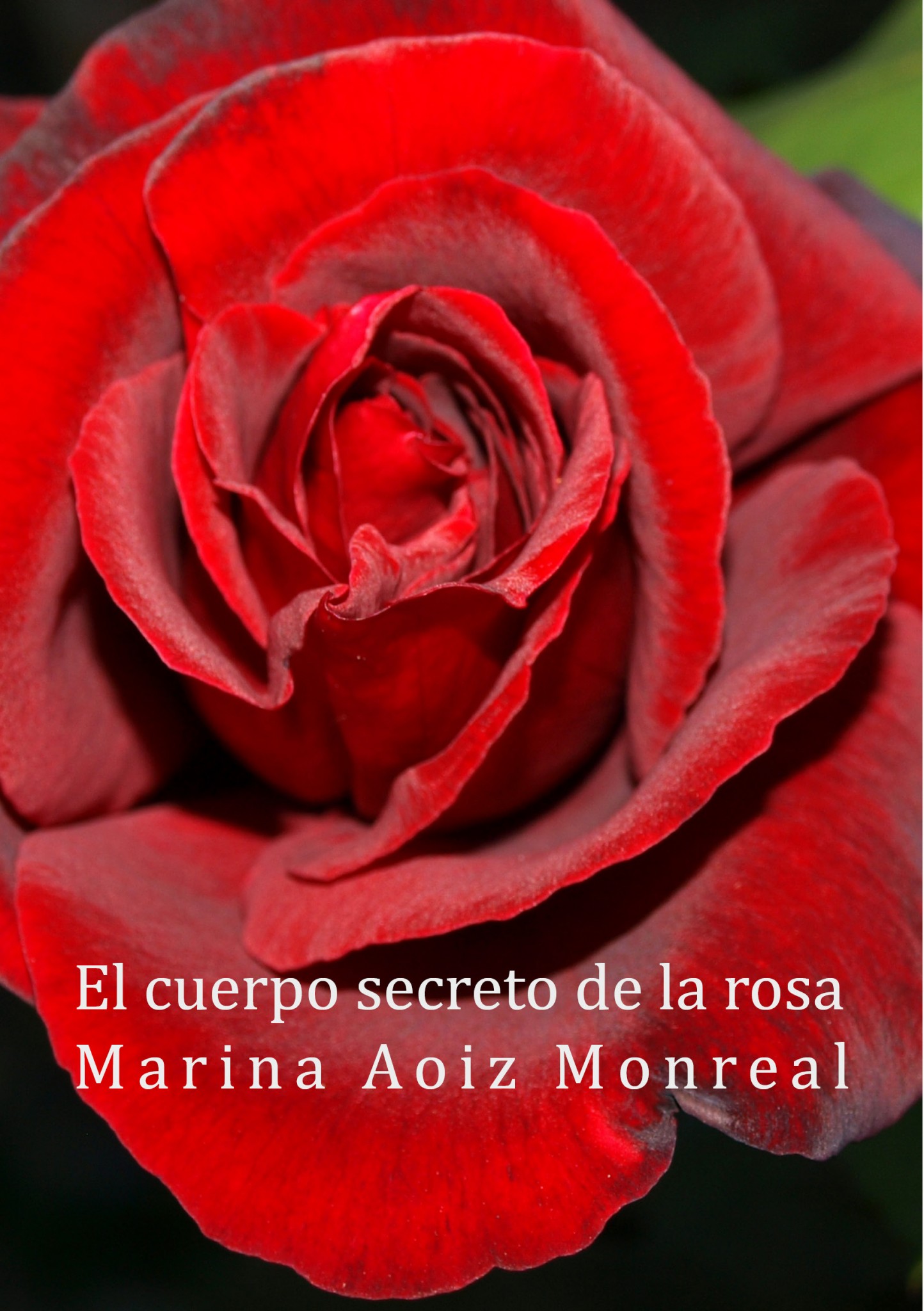 3-portada-del-libro