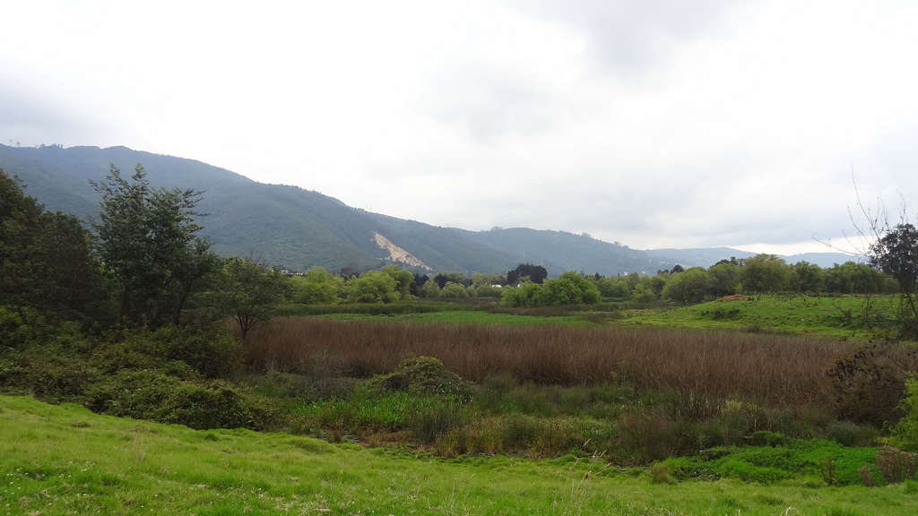 8 Un paraje de Guaymaral