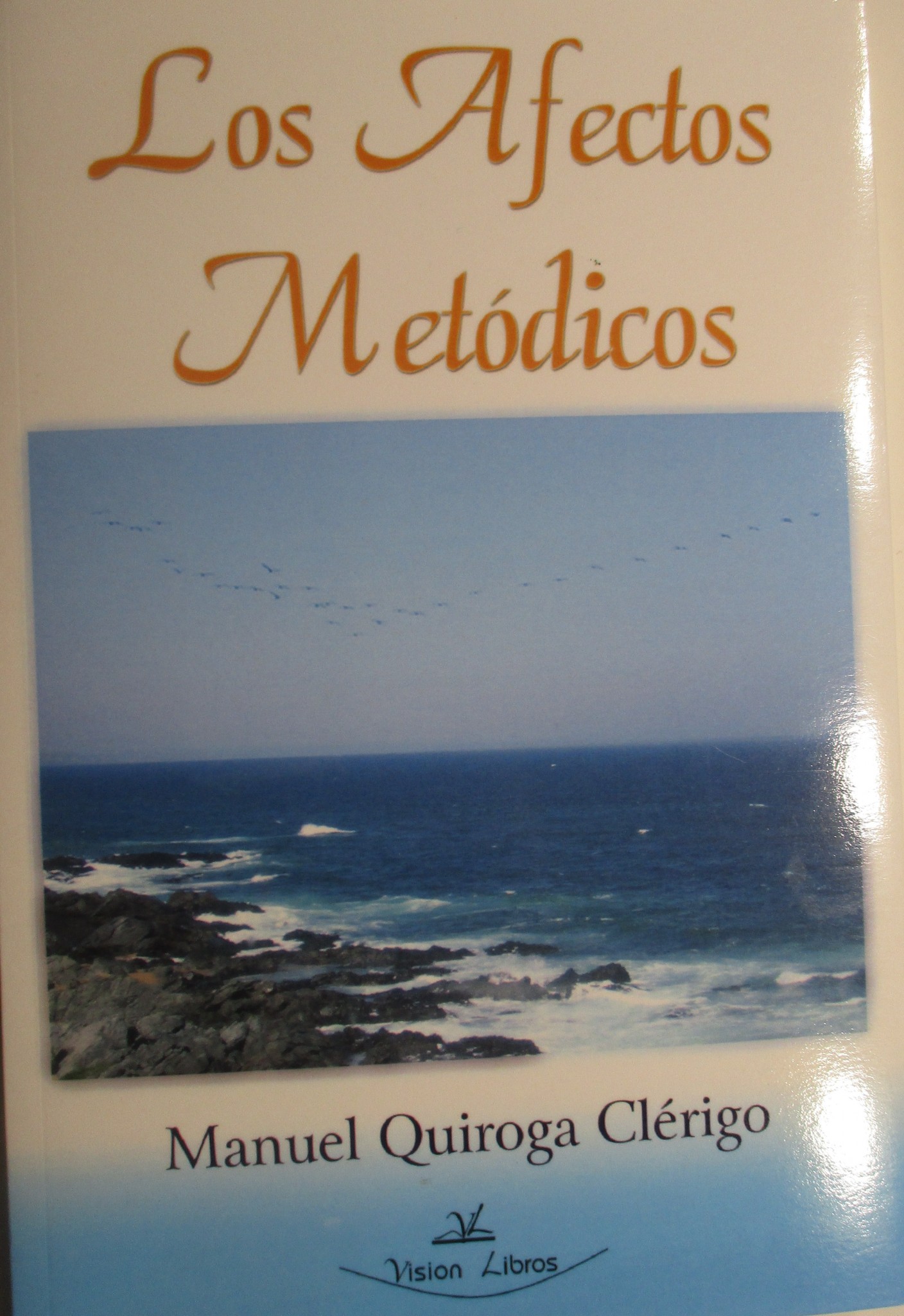4 LOS AFECTOS METÓDICOS, libro